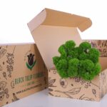 Carnation Green Trick (1)