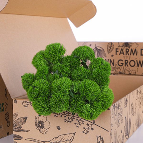 Carnation Green Trick