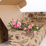 Carnation Spray Pink (2)