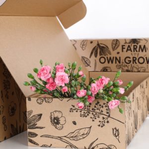 Carnation Spray Pink