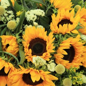 Cheerful Bunch by Black Tulip Flowers