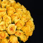 Cheerful Rose (3)