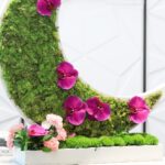 Crescent Masterpiece (3)