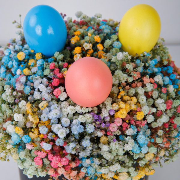 Easter Rainbow flower box by Black Tulip Flowers