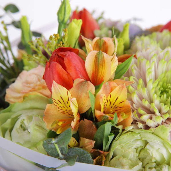 Exotic Mixture by Black Tulip Flowers