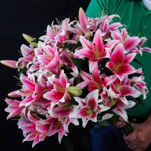 Feminine Lilies bouquet by Black Tulip Flowers.