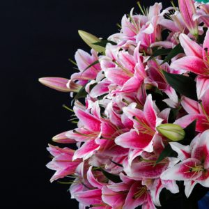 Feminine Lilies bouquet by Black Tulip Flowers.