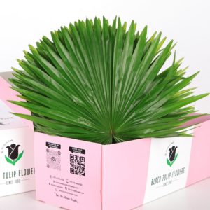 Finger Leaves