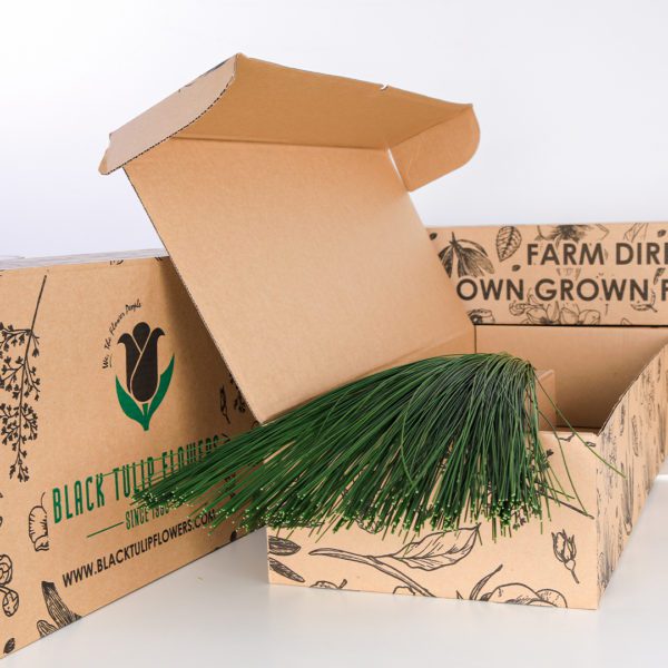 Flexi Grass