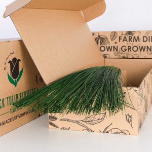Flexi Grass