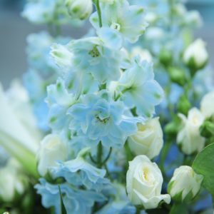 Gallant Combination flower arrangement by Black Tulip Flowers