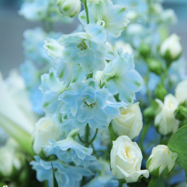 Gallant Combination flower arrangement by Black Tulip Flowers