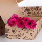 Gerbera Purple (5)