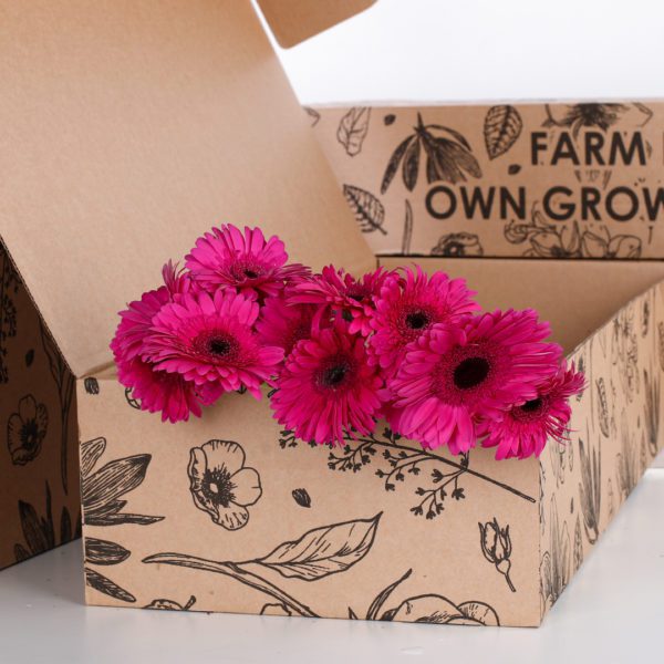 Gerbera Purple
