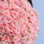 Irresistable Pink (2)