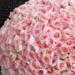 Irresistable Pink (3)