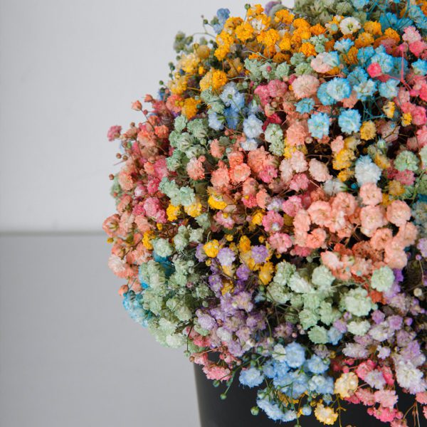 Joyful Rainbow flower box by Black Tulip Flowers