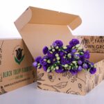 Lisianthus Blue (2)