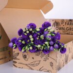Lisianthus Blue (3)