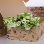 Lisianthus Green (3)