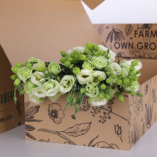 Lisianthus Green