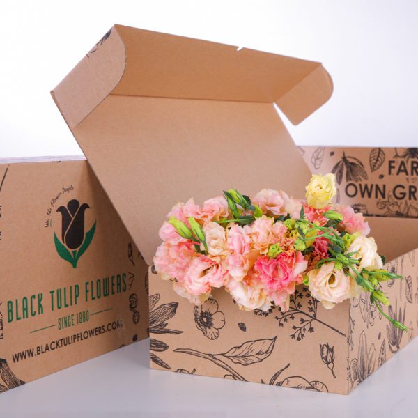 Lisianthus Peach
