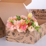 Lisianthus Peach (2)