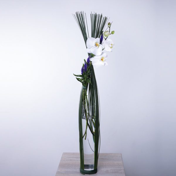 Loyalty Arrangement made with of Phalaenopsis, Veronica and Steel Grass.