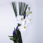 Loyalty Arrangement (3)