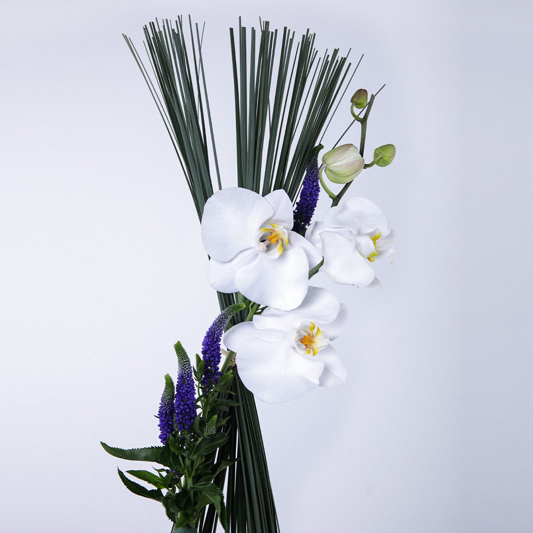 Loyalty Arrangement made with of Phalaenopsis, Veronica and Steel Grass.