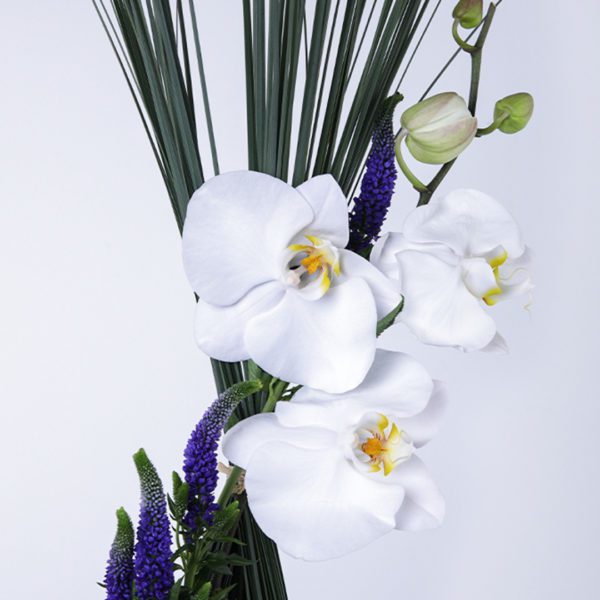 Loyalty Arrangement made with of Phalaenopsis, Veronica and Steel Grass.