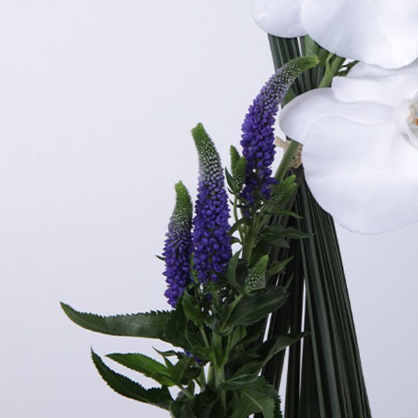 Loyalty Arrangement made with of Phalaenopsis, Veronica and Steel Grass.