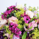 Luxurious Bunch (2)