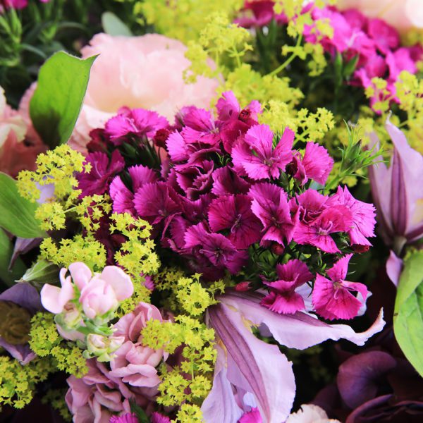 Luxurious Bunch by Black Tulip Flowers