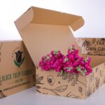 Matthiola Dark Pink (2)