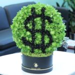 Money Inspired Box (1)