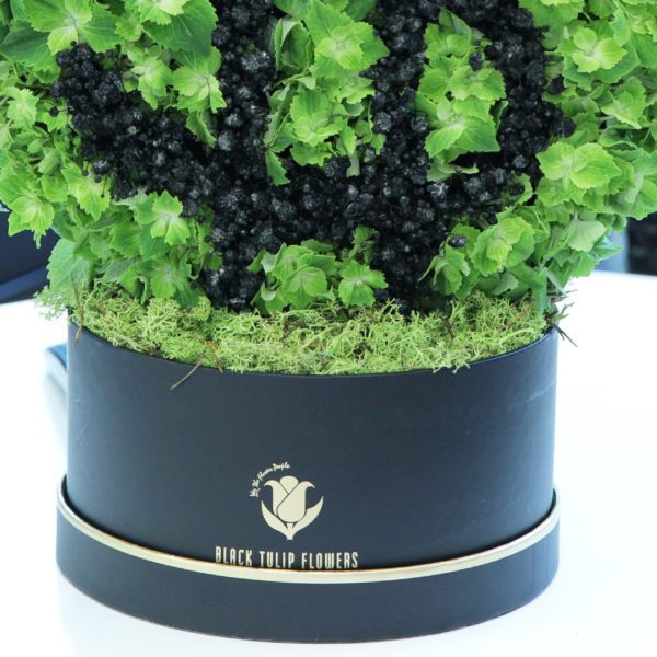 Money Inspired Box by Black Tulip Flowers