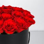 Mutual Love (3)