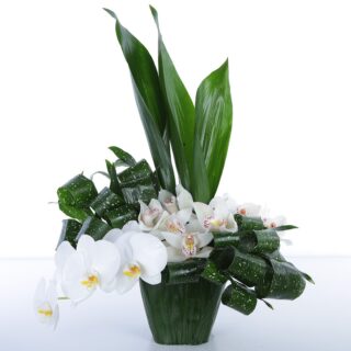 Orchid Duo flower arrangement by Black Tulip Flowers