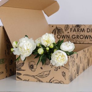 Peony White