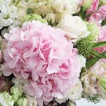 Pastel Blooms with Box (2)