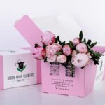 Peony Pink (1)