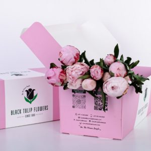 Peony Pink