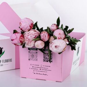 Peony Pink