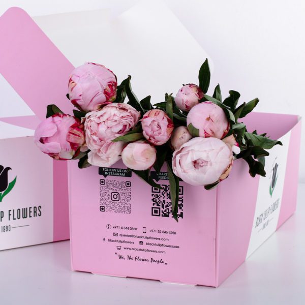 Peony Pink