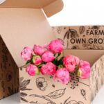 Peony Pink (3)