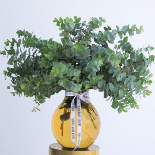 Pure Eucalyptus Leaves by Black Tulip Flowers