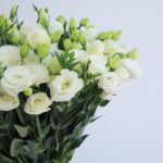 Pure White Lisianthus (2)