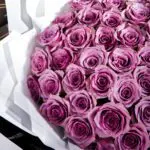 Purple Majesty (4)