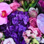 Purple Royalty (4)